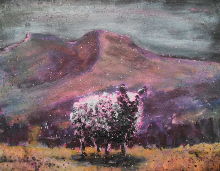 sheep brecon.jpg