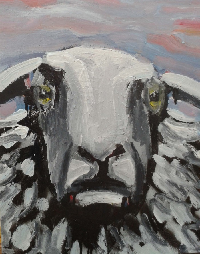 sheep portrait.jpg